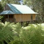 Treetop cabin